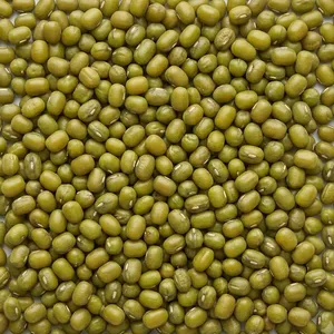 Moong