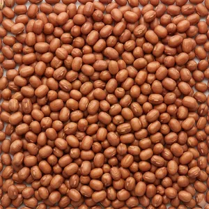 Peanuts