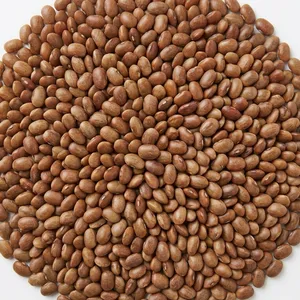 HorseGram (Ulavalu)