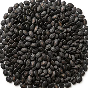 Watermelon Seeds
